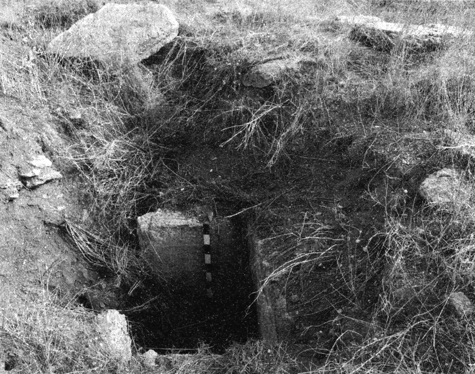 Рис. 3. Высота 106.4. Каменный ящик с остатками росписи на стенках. Вид с запада. Фото 2011 г. Рис. 3. Высота 106.4. Каменный ящик с остатками росписи на стенках. Вид с запада. Фото 2011 г.