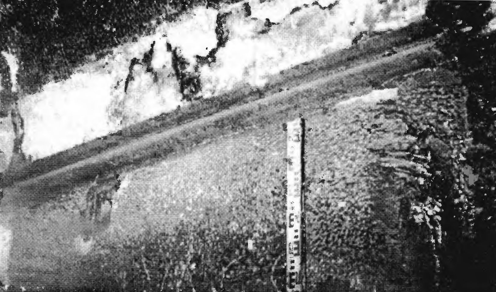 Рис. 105. Инкерман. Монастырь св. Софии. Церковь № 3. Карниз Рис. 105. Инкерман. Монастырь св. Софии. Церковь № 3. Карниз