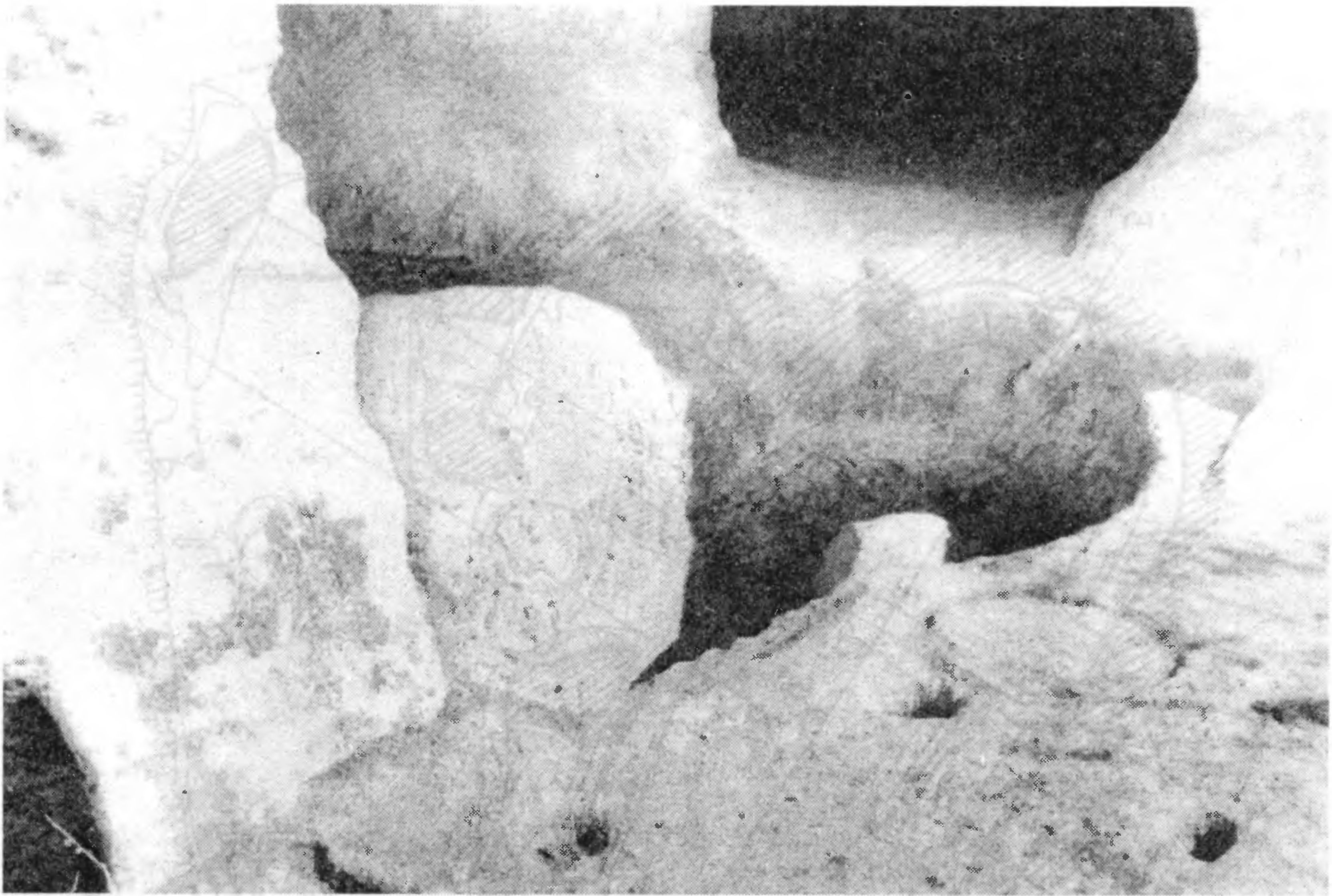 Рис. 141. Шулдан. Храм № 1. Остатки первоначальной крещальни Рис. 141. Шулдан. Храм № 1. Остатки первоначальной крещальни