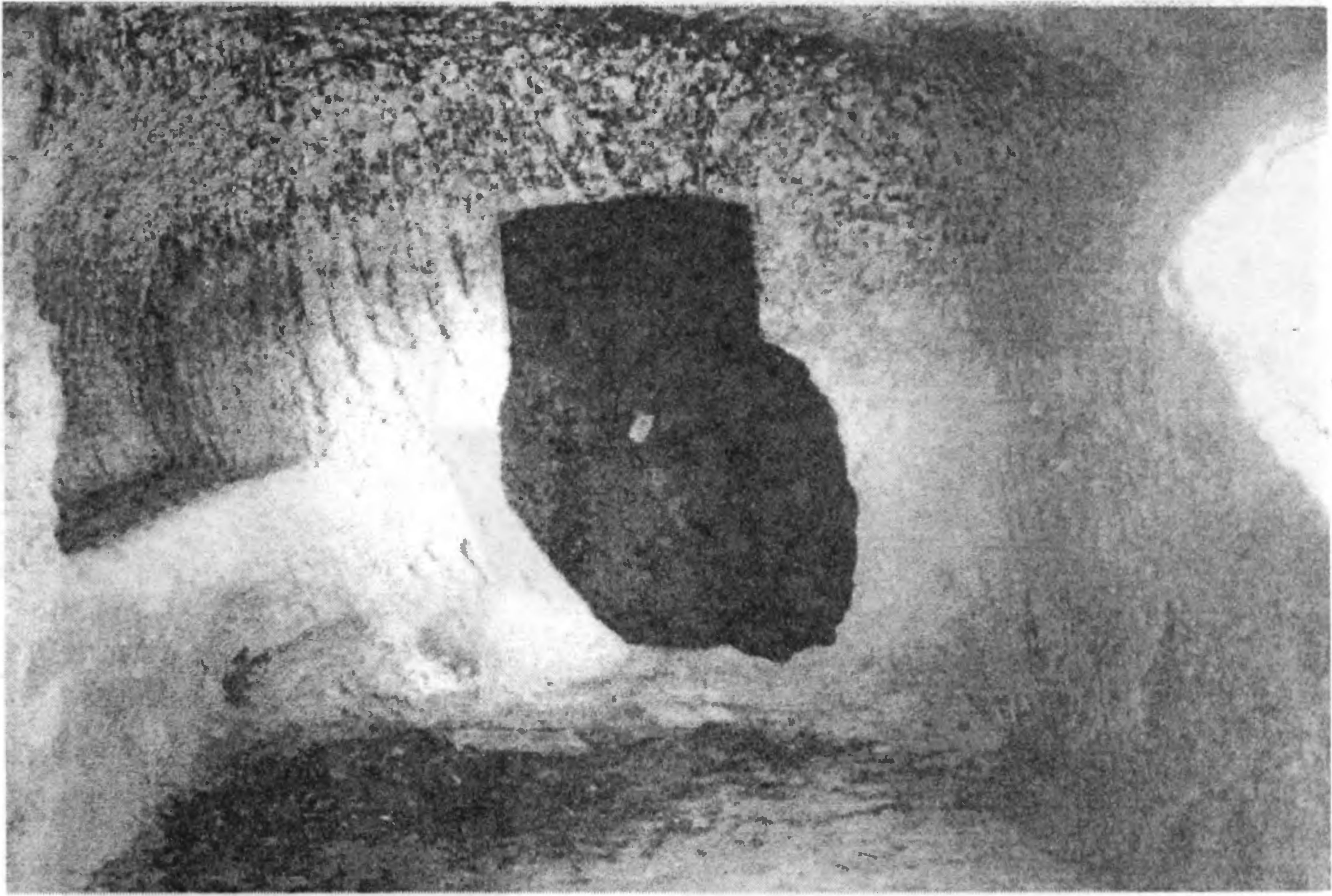 Рис. 171. Эски-Кермен. «Храм у городских ворот». Южная часть Рис. 171. Эски-Кермен. «Храм у городских ворот». Южная часть