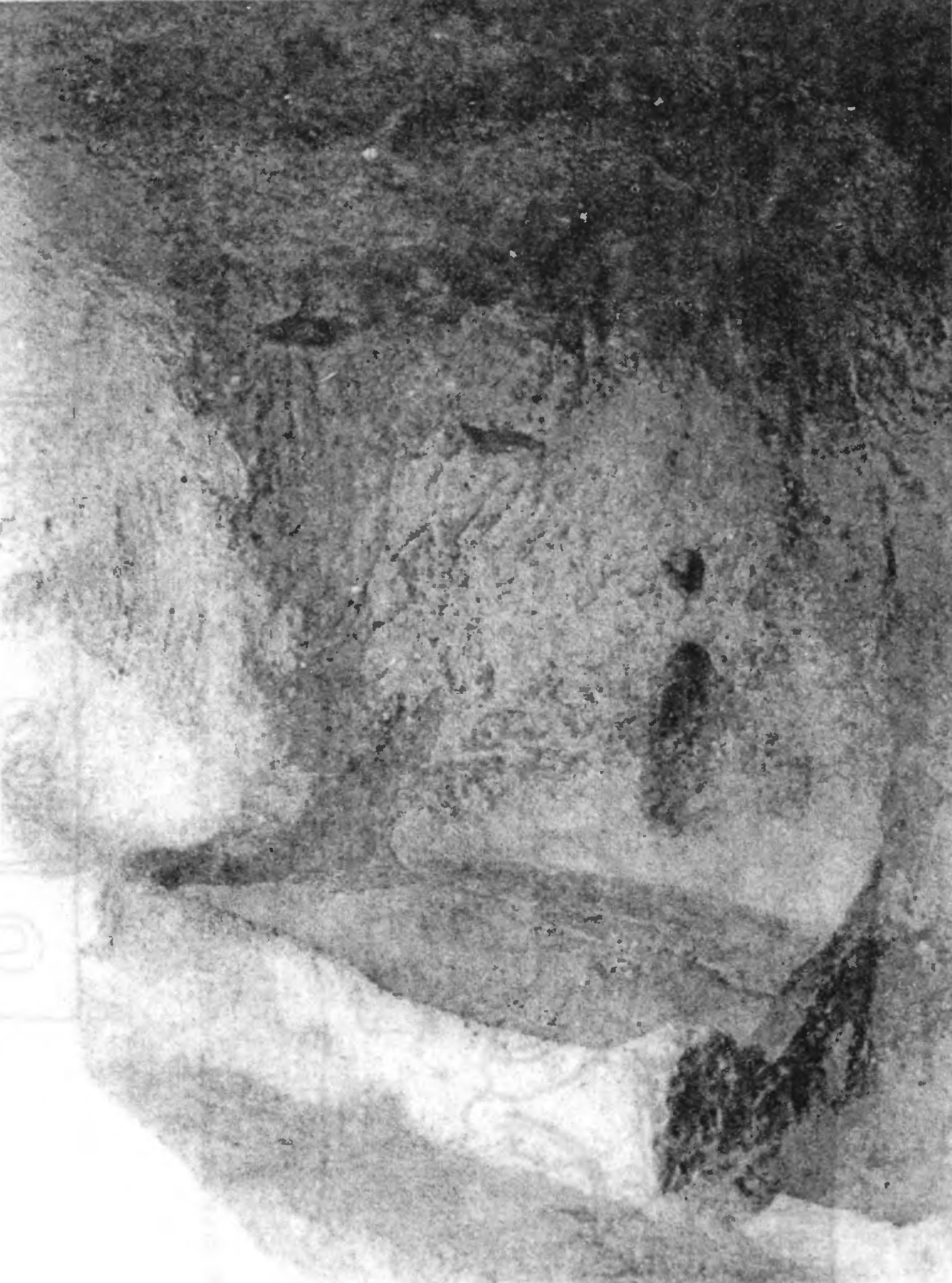 Рис. 187. Эски-Кермен. Церковь «Успения». Тарапан Рис. 187. Эски-Кермен. Церковь «Успения». Тарапан