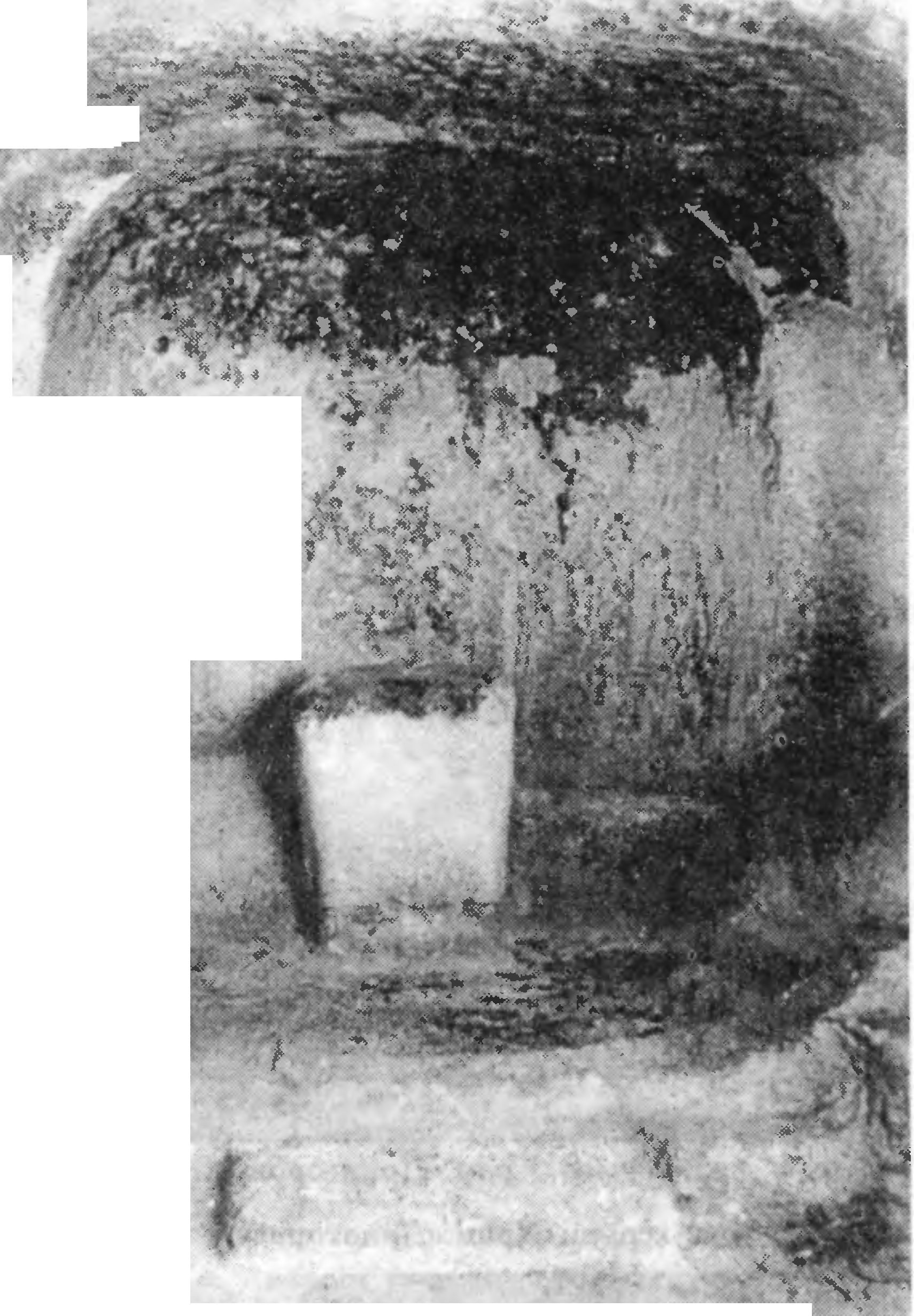 Рис. 202. Эски-Кермен. Храм «Донаторов». Алтарь Рис. 202. Эски-Кермен. Храм «Донаторов». Алтарь