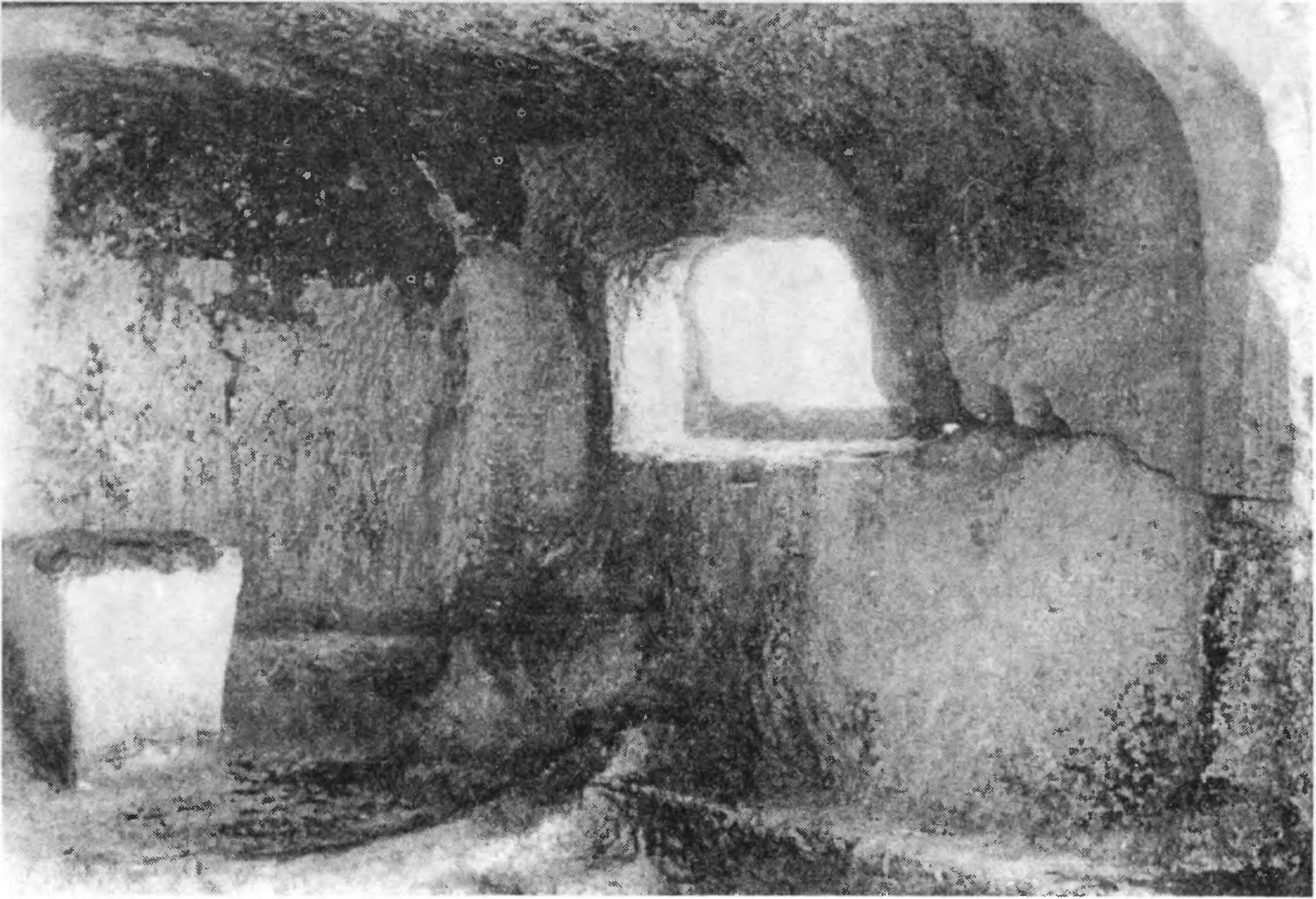 Рис. 203. Эски-Кермен. Храм «Донаторов». Юго-восточная часть Рис. 203. Эски-Кермен. Храм «Донаторов». Юго-восточная часть