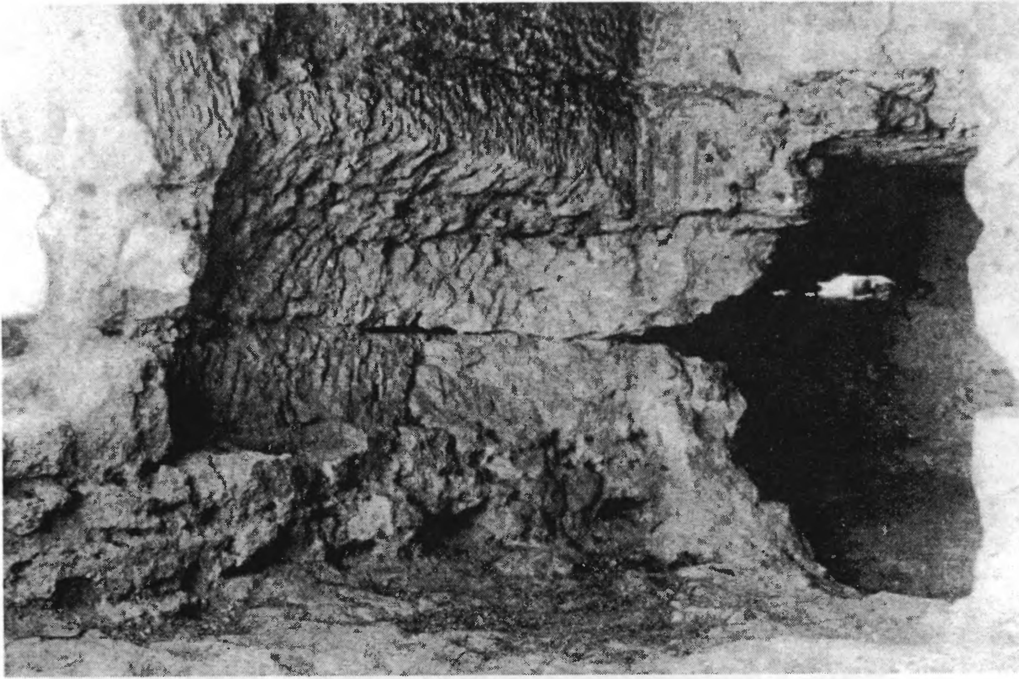 Рис. 232. Мангуп. Церковь на площадке со склепами. Алтарь Рис. 232. Мангуп. Церковь на площадке со склепами. Алтарь
