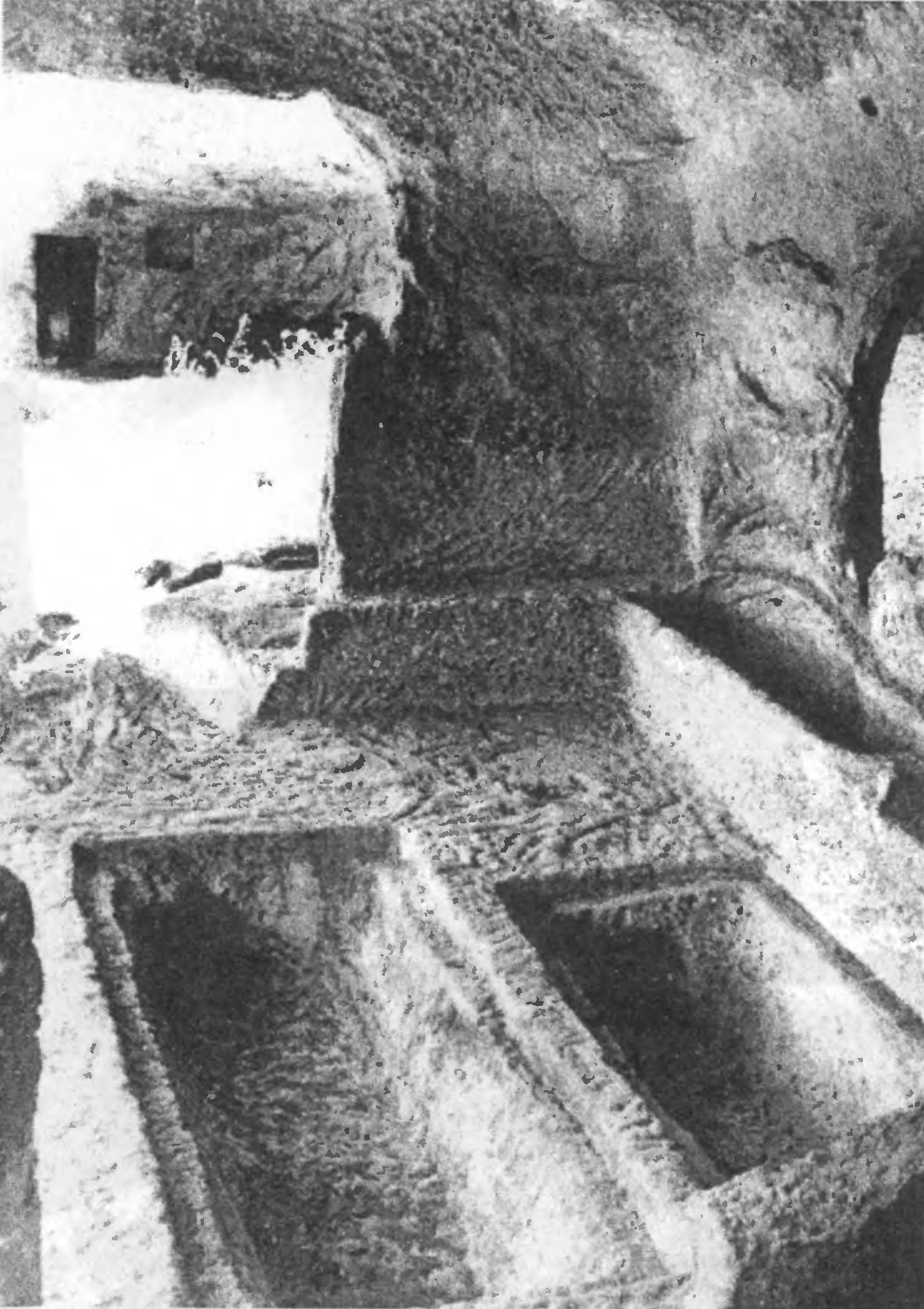 Рис. 252. Мангуп. Южный монастырь. Церковь. Западная стена Рис. 252. Мангуп. Южный монастырь. Церковь. Западная стена