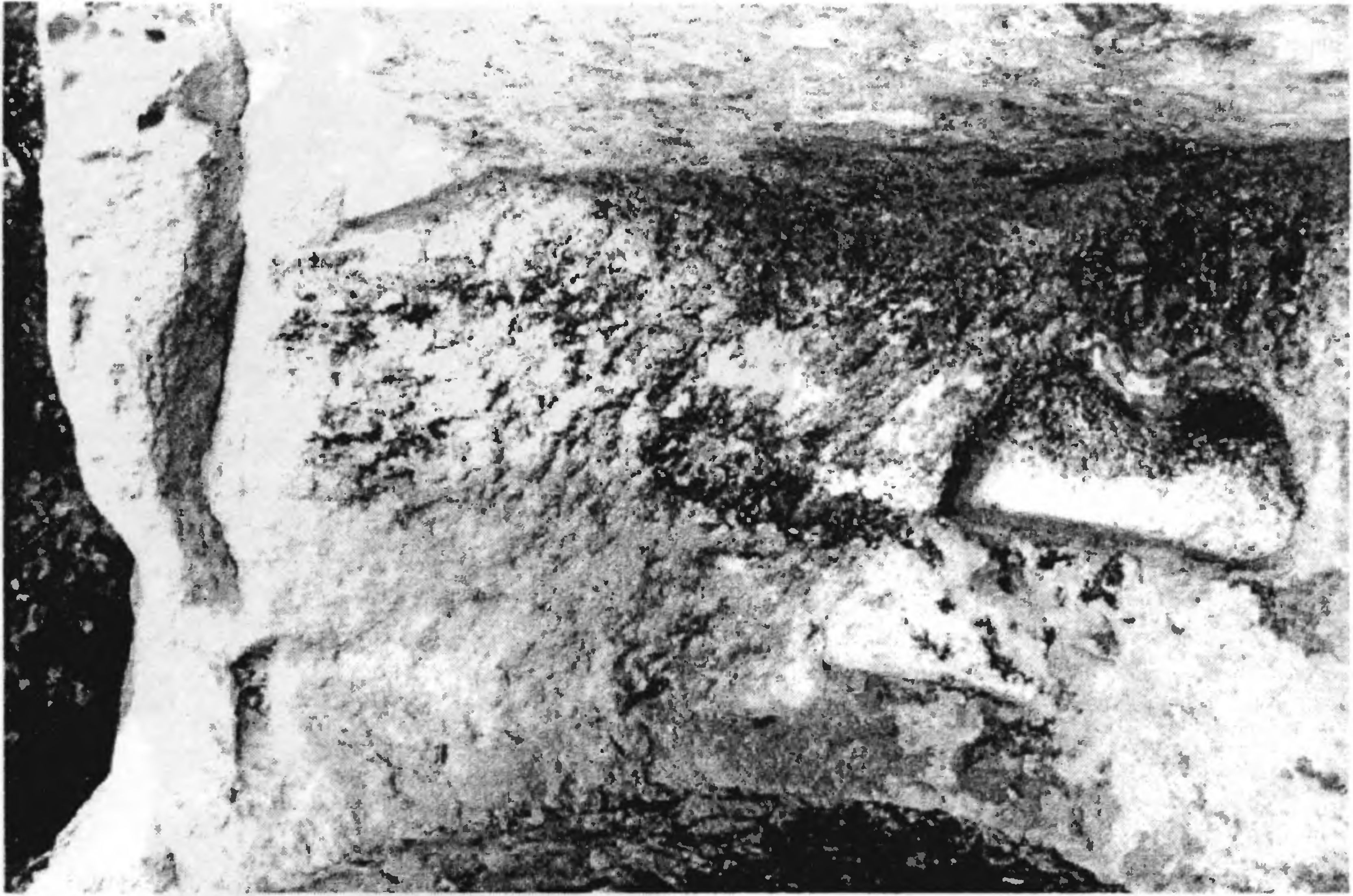 Рис. 271. Мангуп. Монастырь в Табана-Дере. Помещение № 1. Ниша Рис. 271. Мангуп. Монастырь в Табана-Дере. Помещение № 1. Ниша