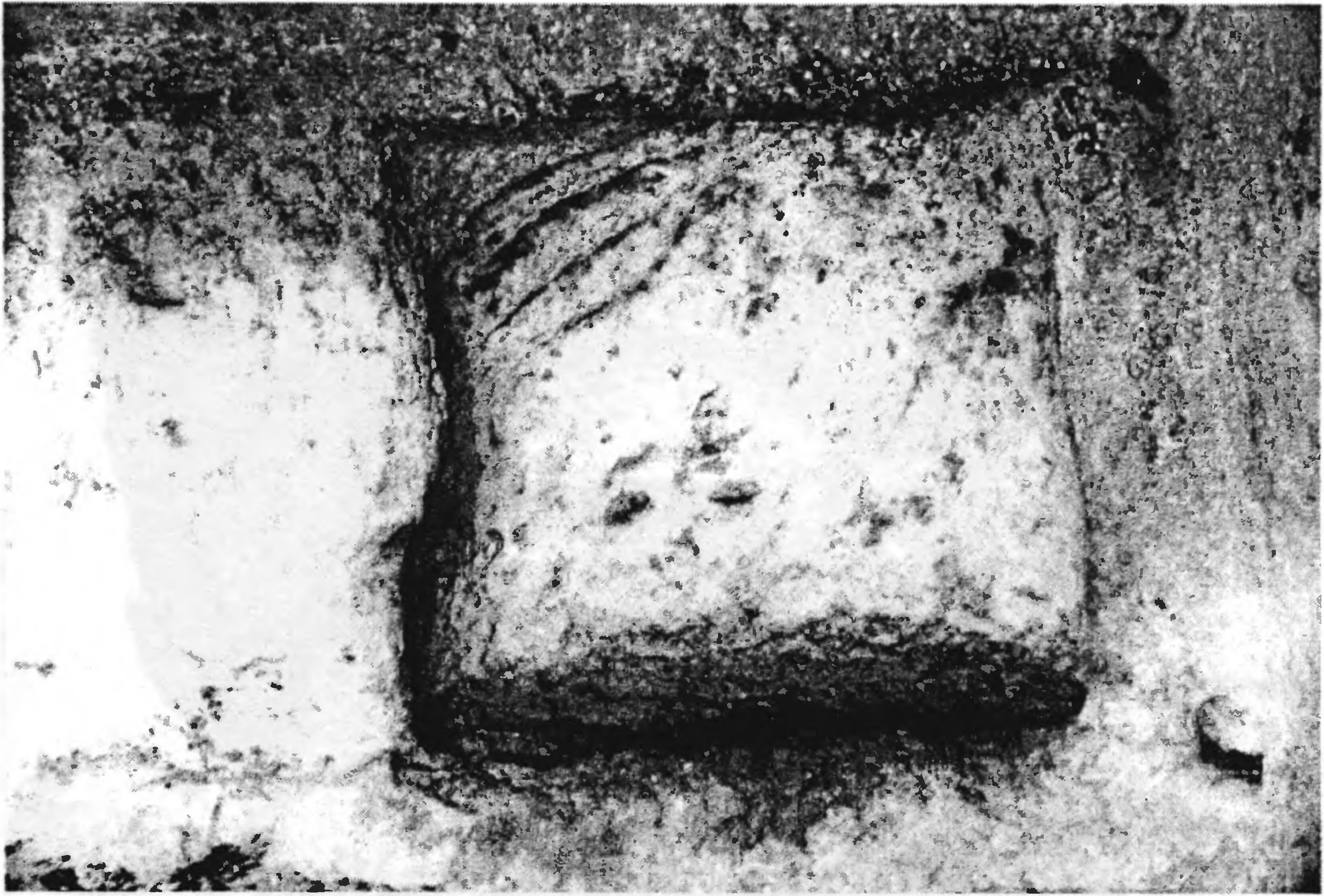 Рис. 272. Мангуп. Монастырь в Табана-Дере. Помещение № 2. Ниша Рис. 272. Мангуп. Монастырь в Табана-Дере. Помещение № 2. Ниша