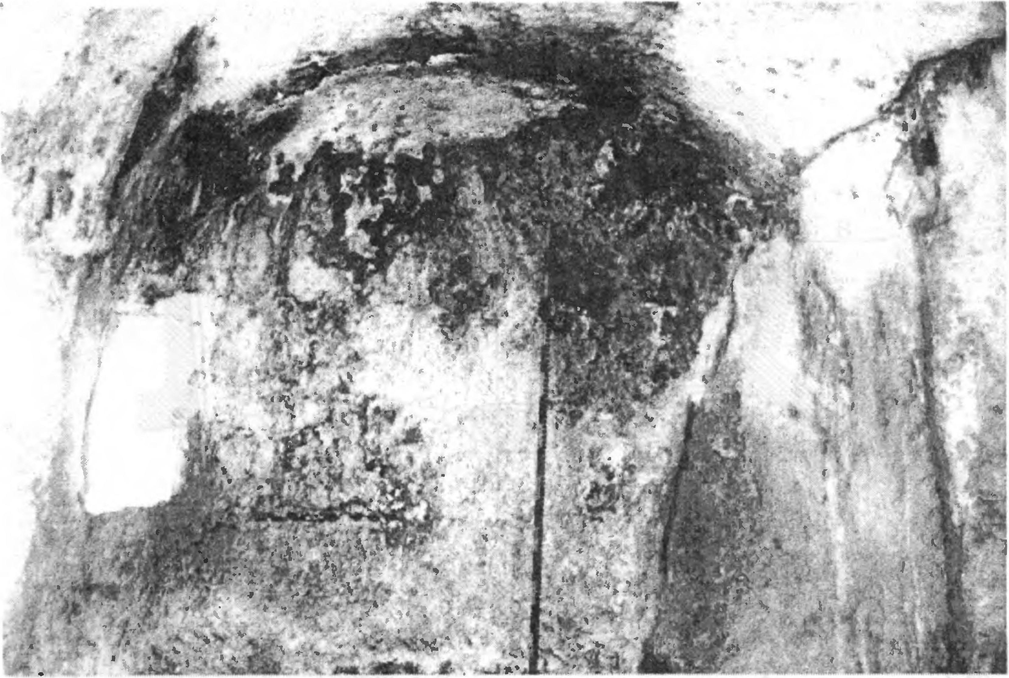 Рис. 274. Мангуп. Церковь в Кильсе-Дере. Алтарная часть Рис. 274. Мангуп. Церковь в Кильсе-Дере. Алтарная часть