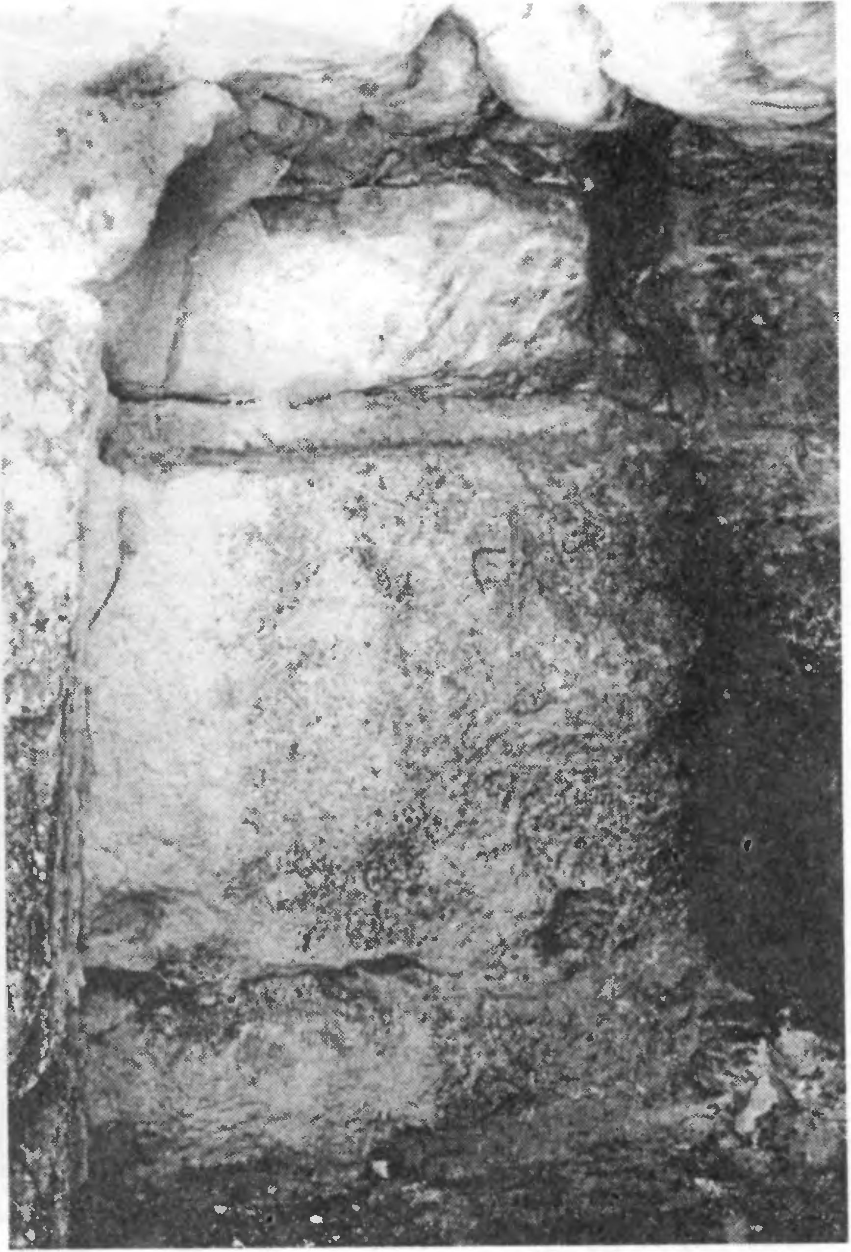 Рис. 276. Мангуп. Церковь в Кильсе-Дере. Орнамент южной стены Рис. 276. Мангуп. Церковь в Кильсе-Дере. Орнамент южной стены