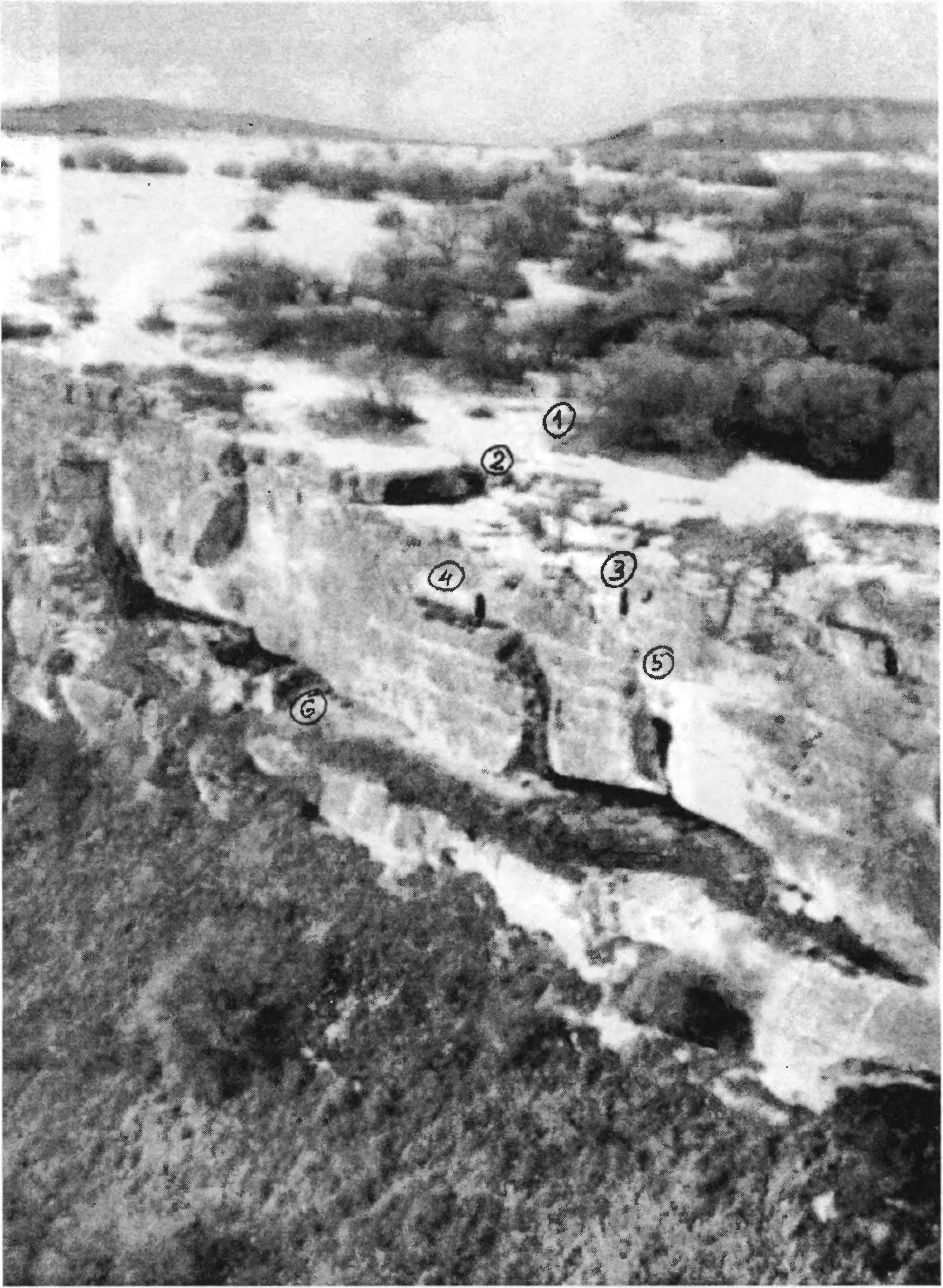 Рис. 279. Мангуп. Участок обрыва Мангупского плато в районе расположения юго-восточного монастыря. 1. Руины мечети Баязида Святого. 2. «Площадка со склепами». 3. Пещеры в обрыве у края площадки. 4. Пещера в обрыве ниже края площадки. 5. Пещера — укрытие для дозорного. 6. Пещерная церковь под обрывом Рис. 279. Мангуп. Участок обрыва Мангупского плато в районе расположения юго-восточного монастыря. 1. Руины мечети Баязида Святого. 2. «Площадка со склепами». 3. Пещеры в обрыве у края площадки. 4. Пещера в обрыве ниже края площадки. 5. Пещера — укрытие для дозорного. 6. Пещерная церковь под обрывом