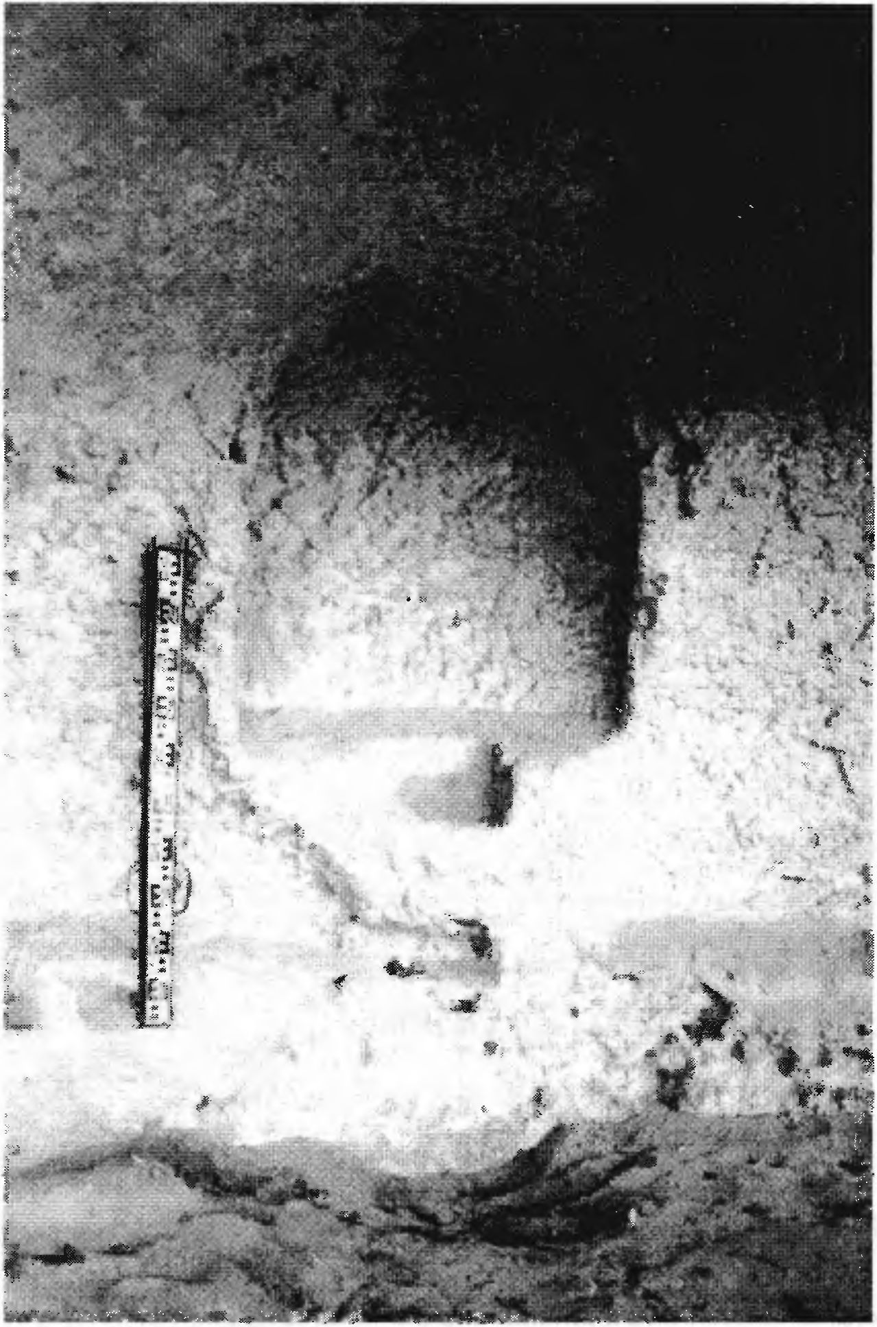 Рис. 60. Инкерман. Загайтанская скала. Церковь № 4. Алтарь Рис. 60. Инкерман. Загайтанская скала. Церковь № 4. Алтарь